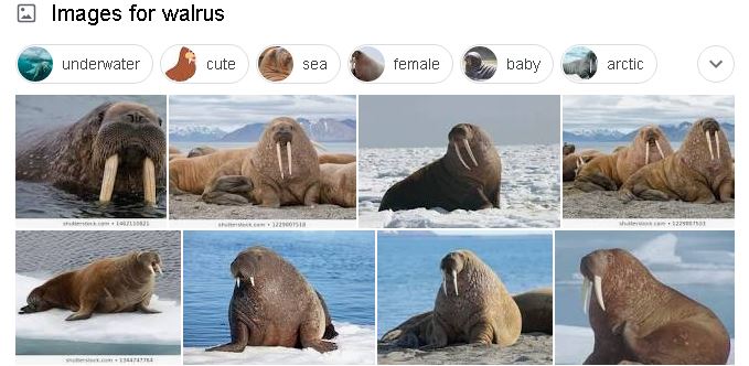 image pack