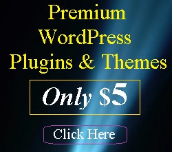 Premium WordPress plugins & themes